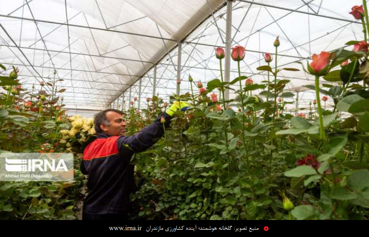 کشاورزی هوشمند؛ یا االن یا هیچ وقت