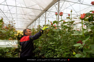 کشاورزی هوشمند؛ یا االن یا هیچ وقت