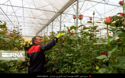 کشاورزی هوشمند؛ یا االن یا هیچ وقت