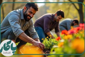 فرهنگ-کار-داوطلبانه